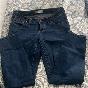 Madewell Indigo Skinny Jeans